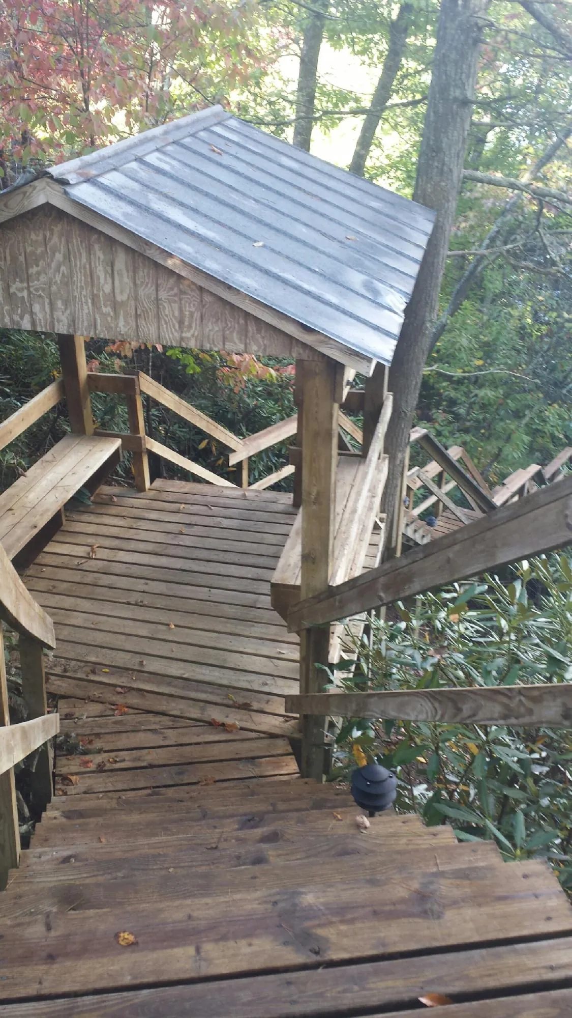 Metal roofed shelter over wooden steps on a wooded walkway — Skylight Repair & Installation work by our crew in Pulteney
